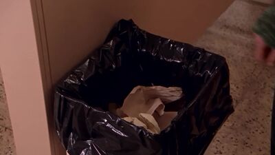 frame_117.jpg
