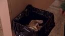 frame_117.jpg