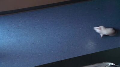 frame_156.jpg