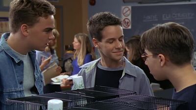 frame_208.jpg