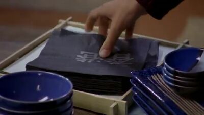 frame_076.jpg