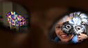 Filename=1000113228.jpg
Filesize=150KiB
Dimensions=1355x734
Date added=Aug 19, 2026 1000113228.jpg